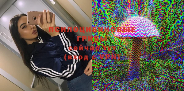 винт Алексин