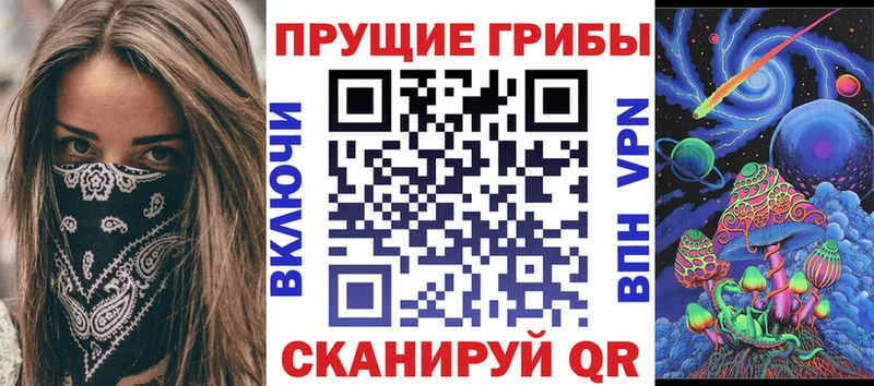 Псилоцибиновые грибы Cubensis  наркошоп  Горбатов 